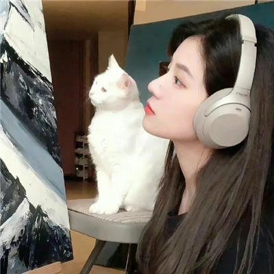 厨娘杀手