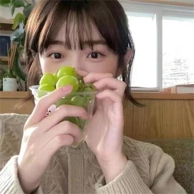 蜘蛛的策略