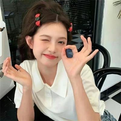 我的老婆是只猫